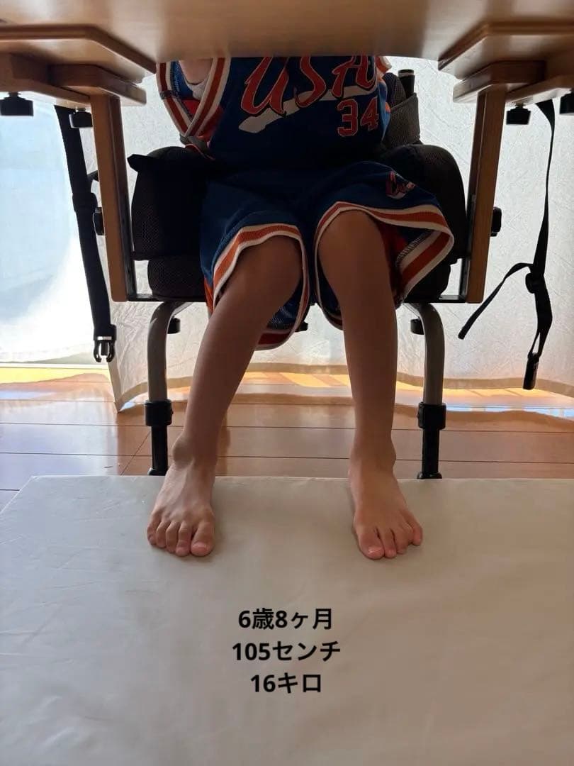 レポチャイルド 座位保持椅子