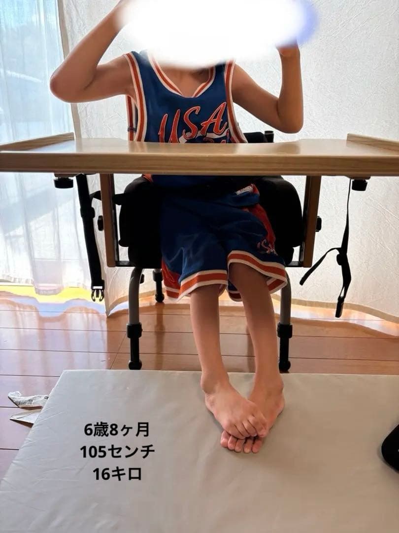 レポチャイルド 座位保持椅子