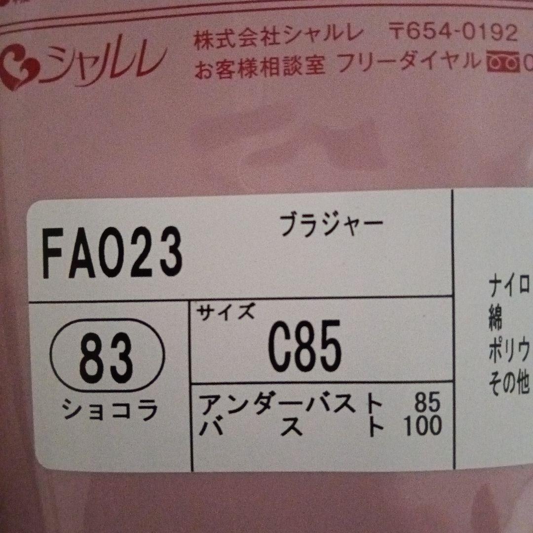 ＦA023 C85 ショコラ・ブラック➕IB152 Lアソート6枚おまとめ