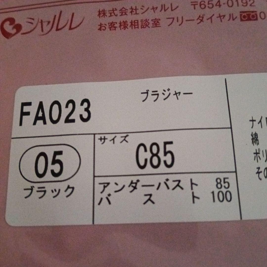 ＦA023 C85 ショコラ・ブラック➕IB152 Lアソート6枚おまとめ