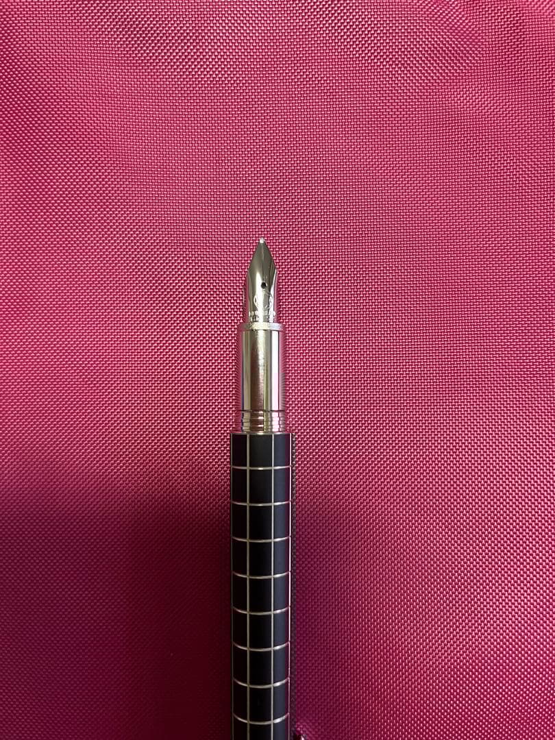 Rosa eyes モンブラン　スターウォーカー　メタルラバー万年筆