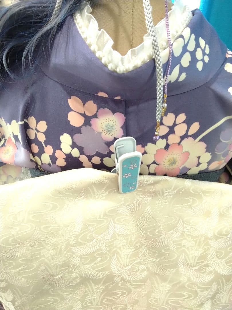 振袖フルセット、正絹京友禅、成人式、重ね衿、帯揚げ帯締め、京袋帯、長襦袢