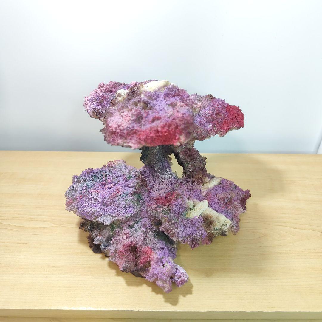 ✏新品アク抜き不要 人工ライブロック レプリカ 30cmキューブ以上海水水槽用2