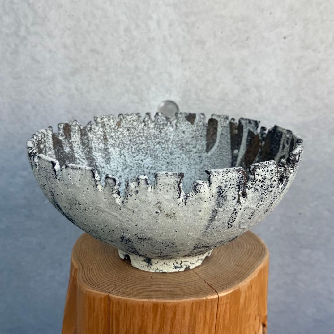 たけろうポット 安西岳郎 芽の巣山 大鉢