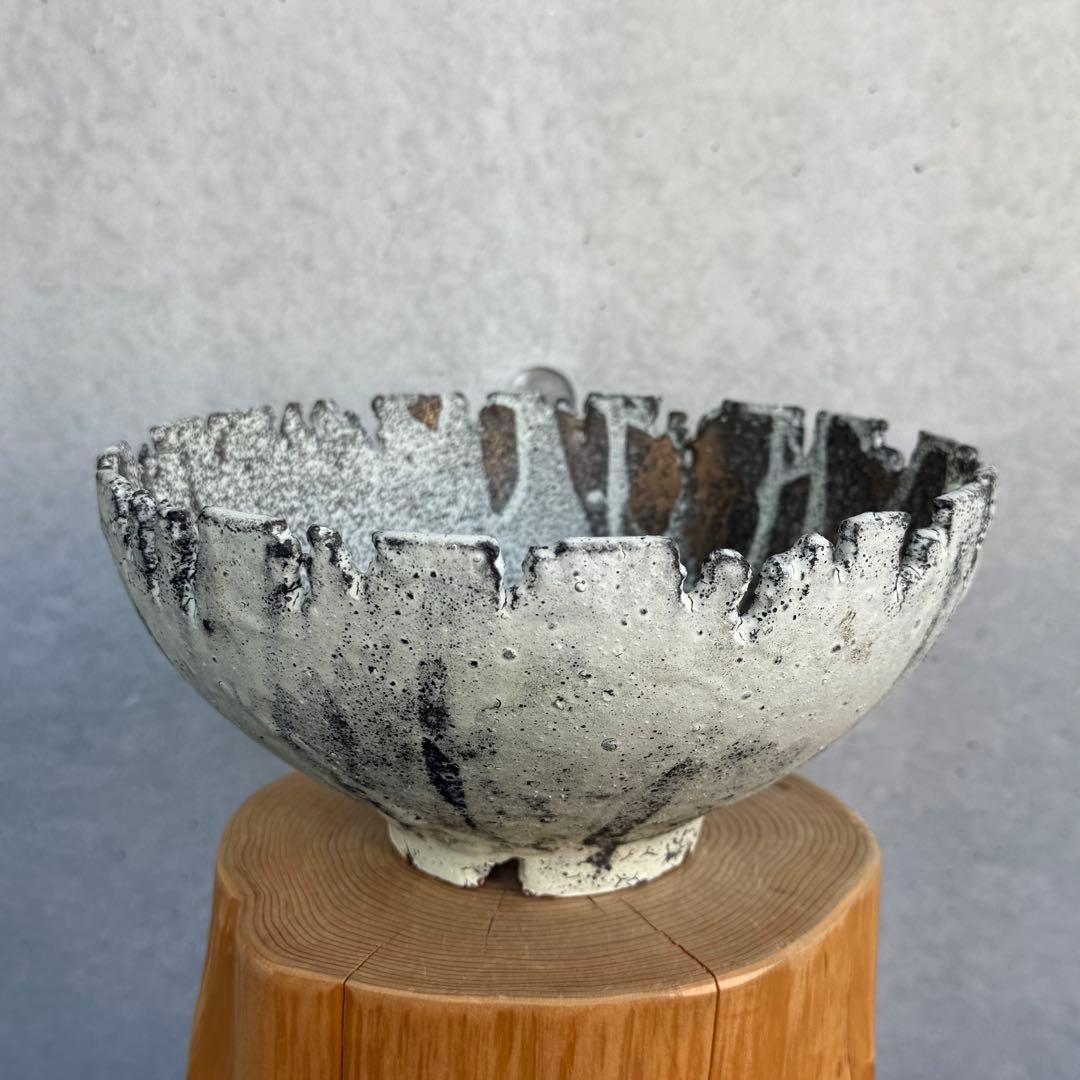 たけろうポット 安西岳郎 芽の巣山 大鉢