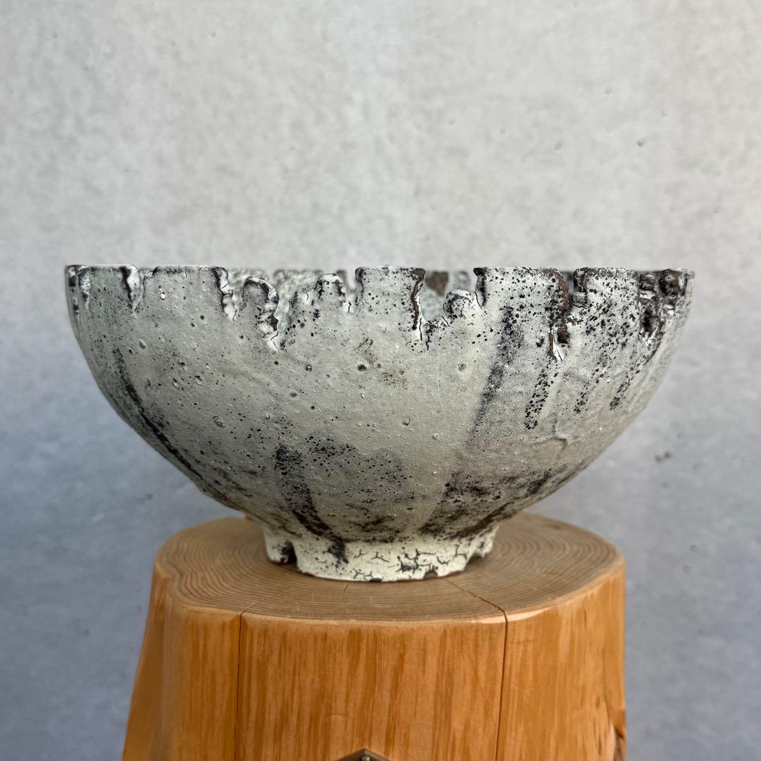 たけろうポット 安西岳郎 芽の巣山 大鉢