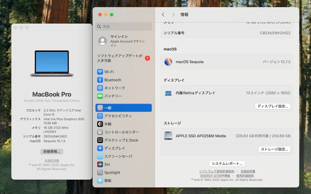 MacBook本体 Apple MacBook Pro 13 2018 i5/16GB/250Gb