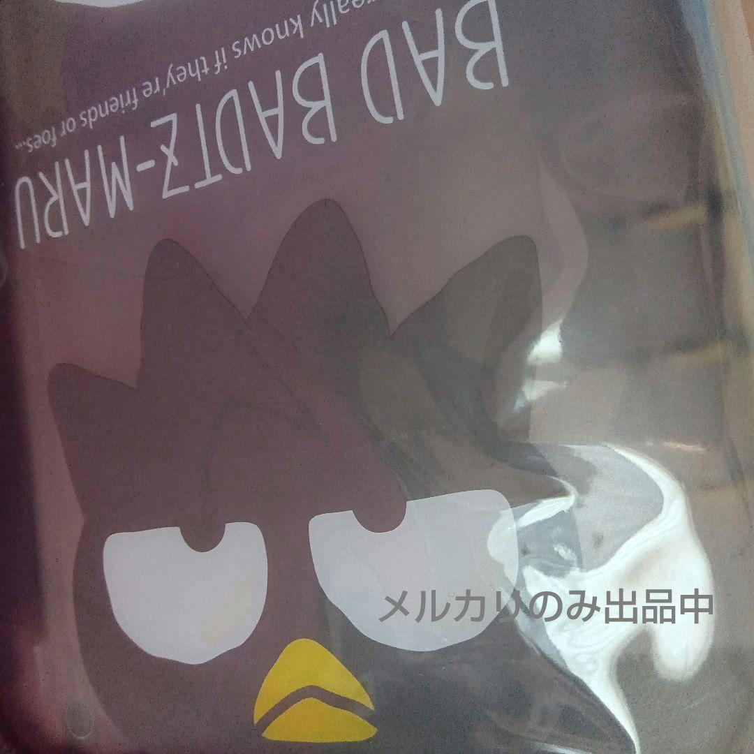 ハンギョドン バッドばつ丸 バインダー付きマルチケース いつものふたり