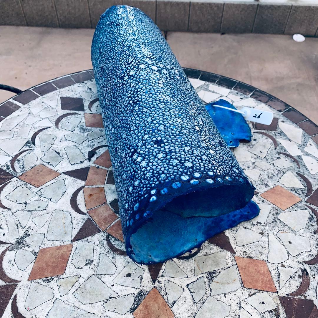 26) 極上 SSタンナー イバラエイ