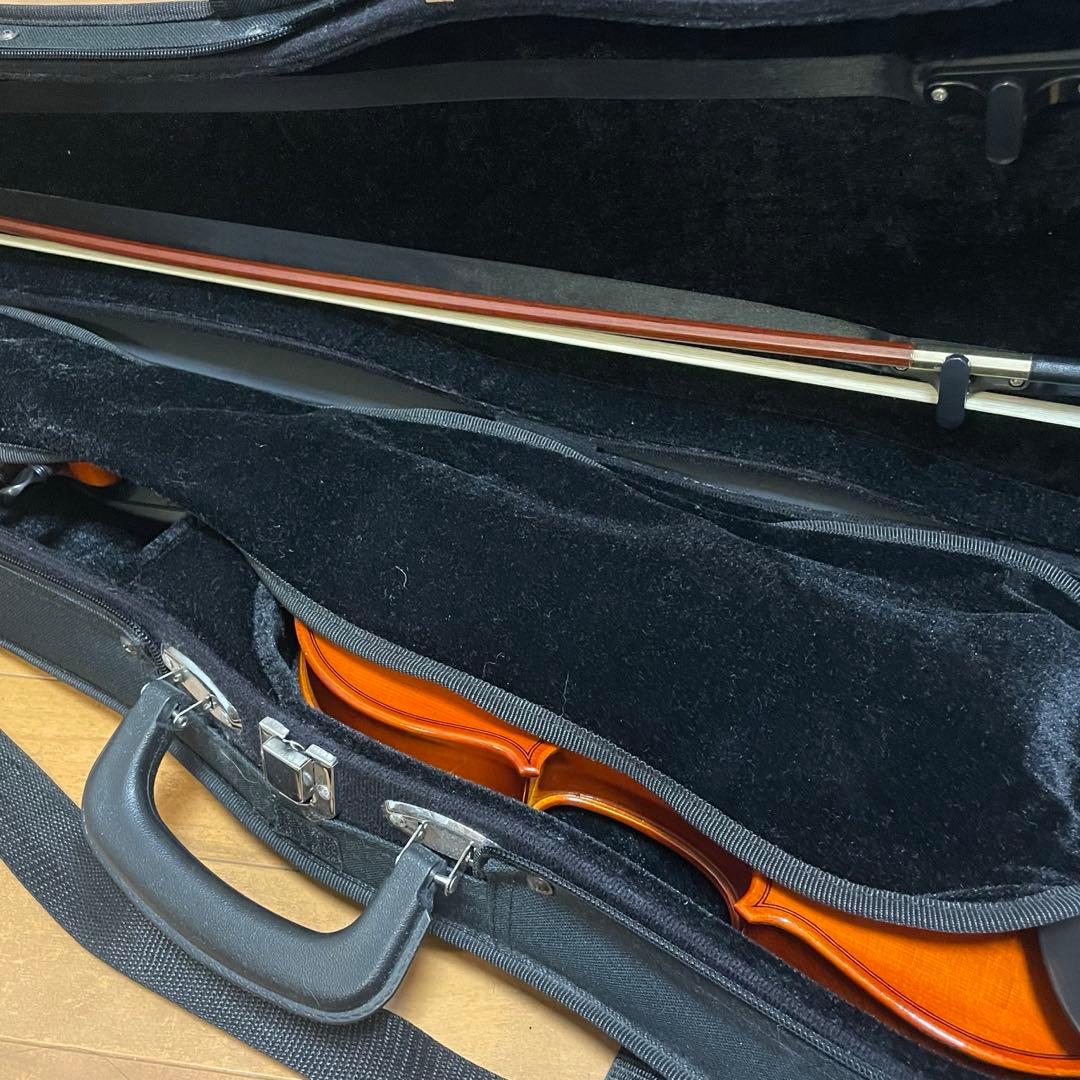 Andreas Eastman VL80 3/4 2016年