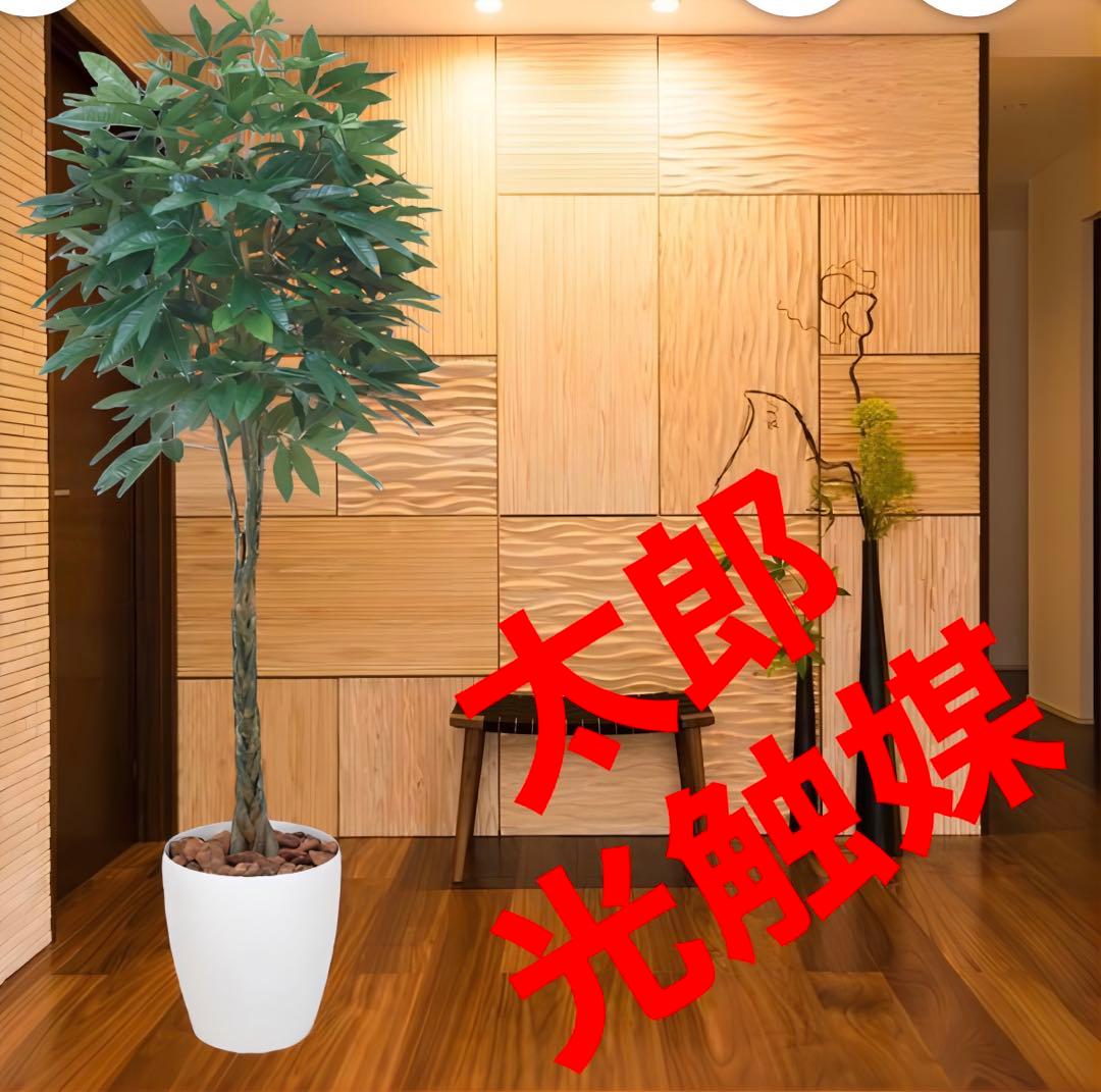 光触媒　人工観葉植物　ウォールグリーン　フェイクグリーン　パキラ 1.6m