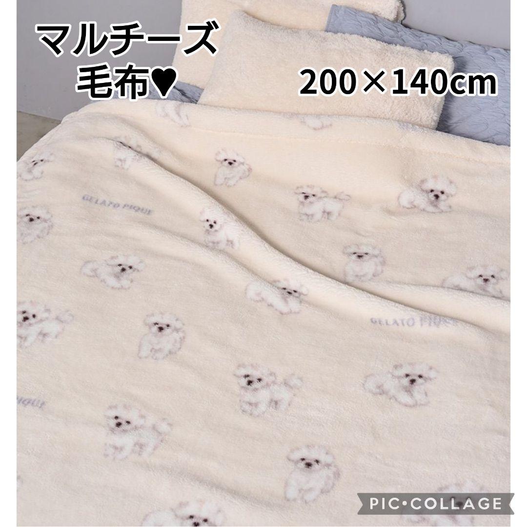 【完売】正規品♡新品未開封♡ジェラートピケ♡ドッグ柄プリント毛布♡マルチーズ