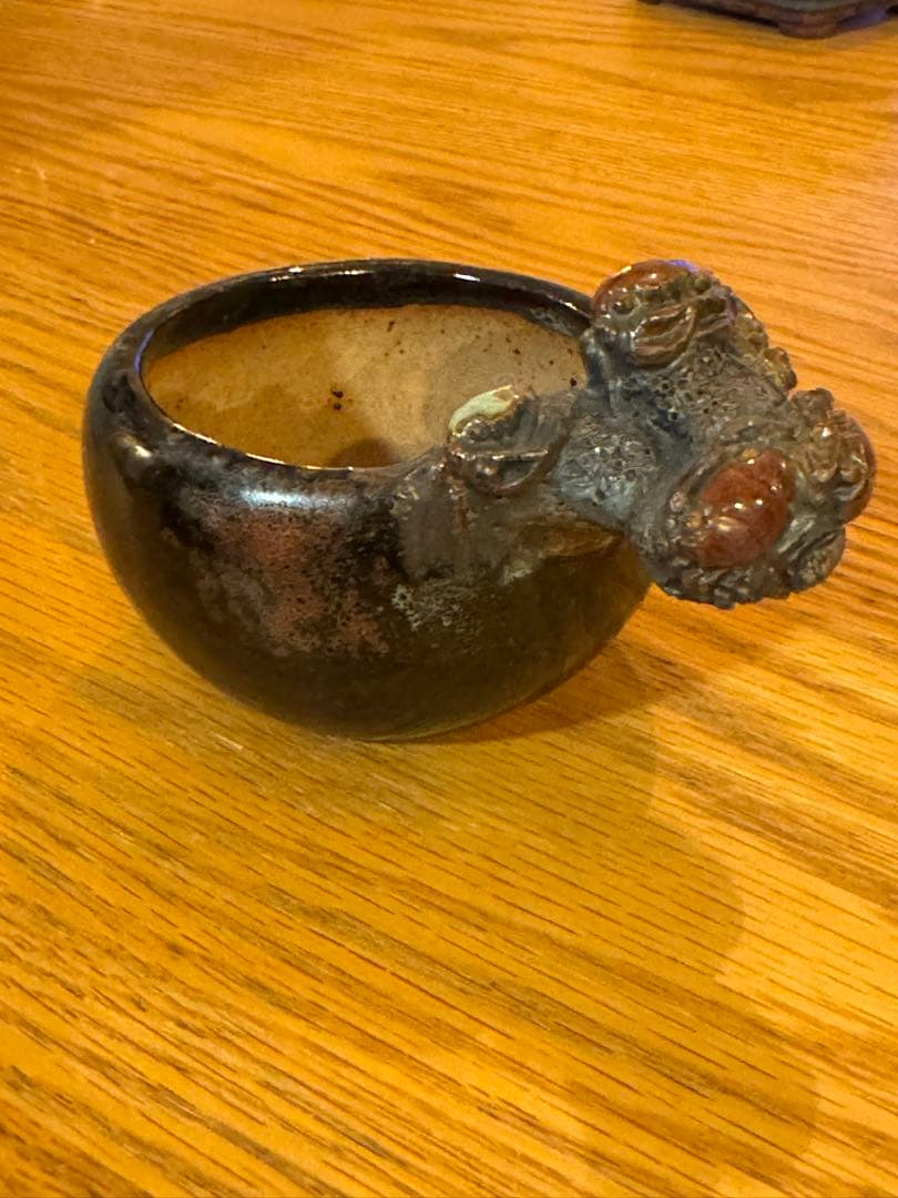 岡谷是心　鉢　盆栽