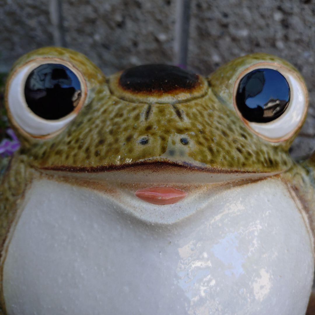 信楽焼　ワケアリ　9号　出目笑い蛙(大)　手作り蛙　2点セット