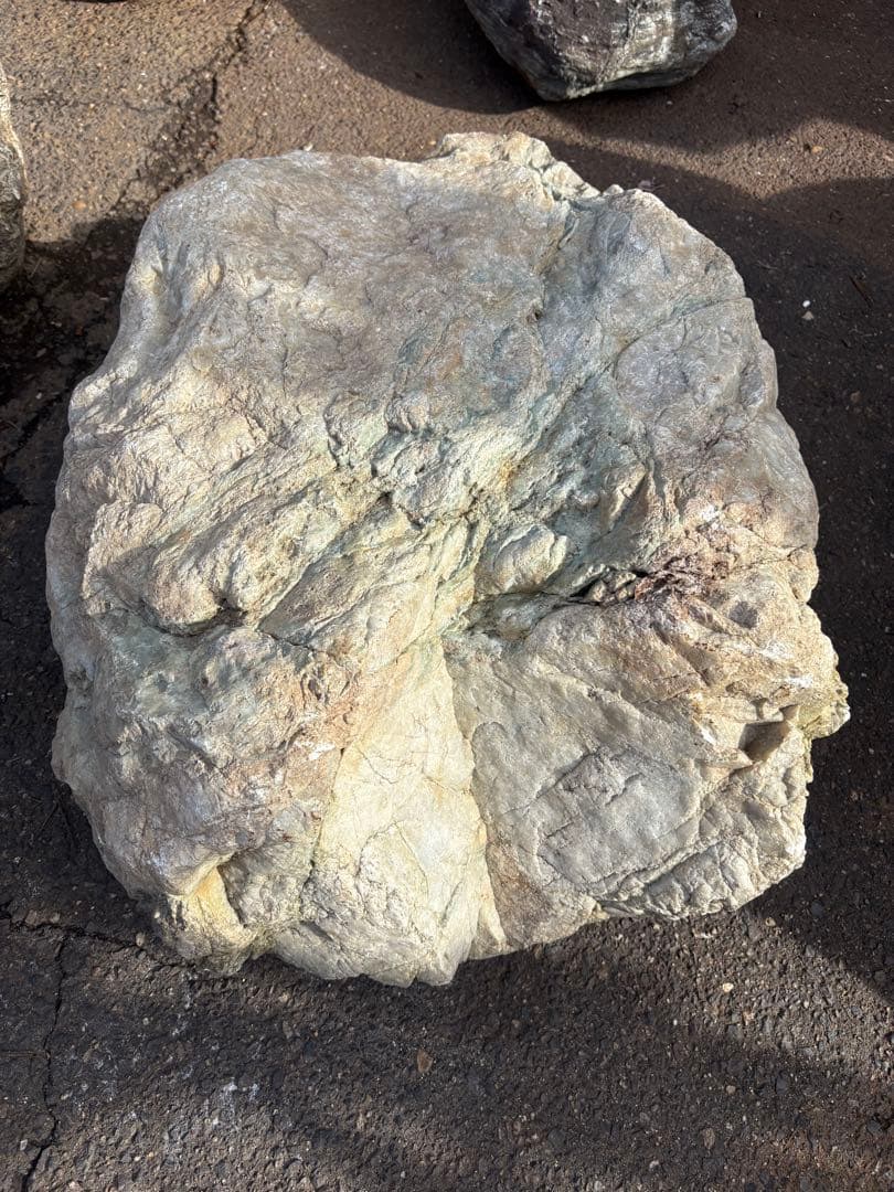 小滝川由来 天然石 庭石 90cm級 真贋不明