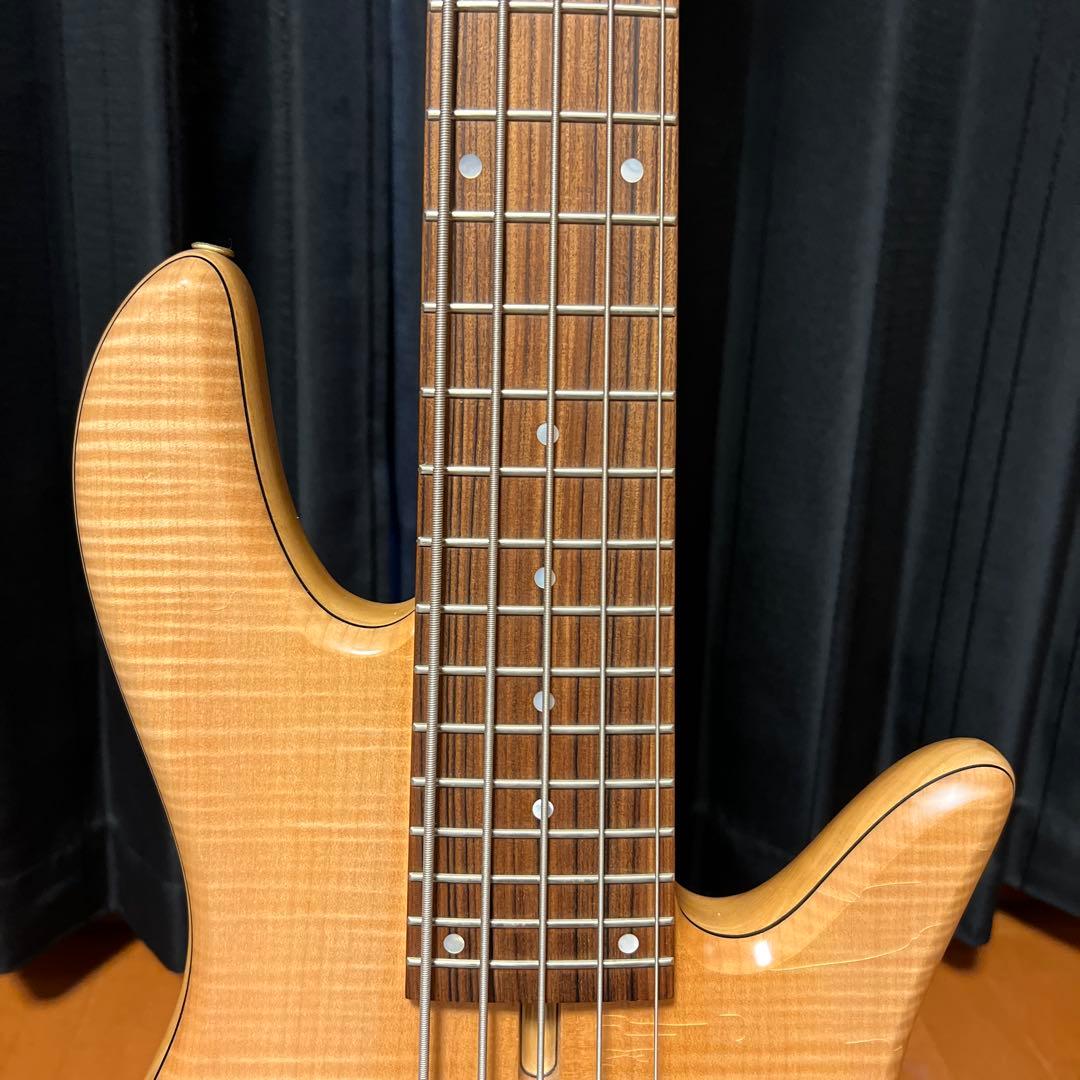 フォデラ　エンペラー5 スタンダード