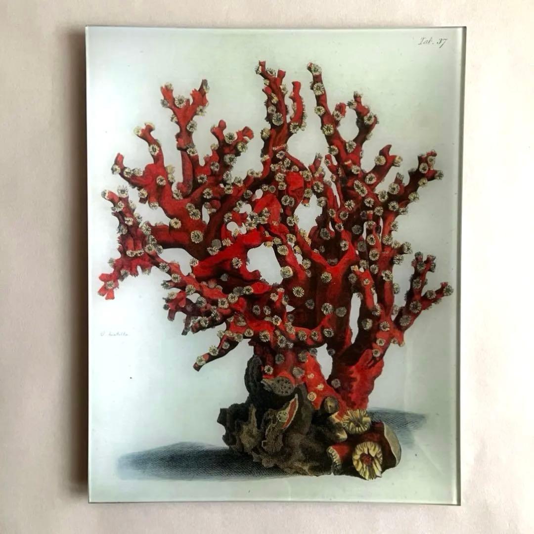 JOHN DERIAN ジョンデリアン デコパージュプレート