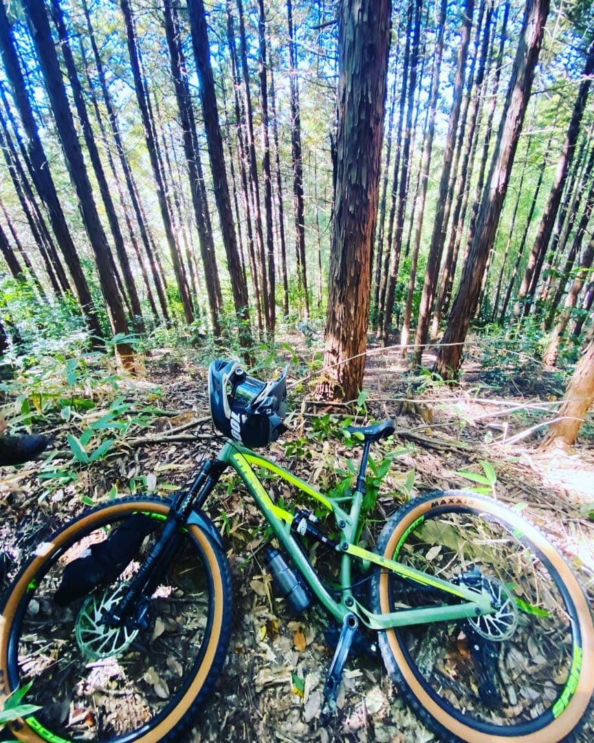 自転車本体 Nukeproof Mega L-M