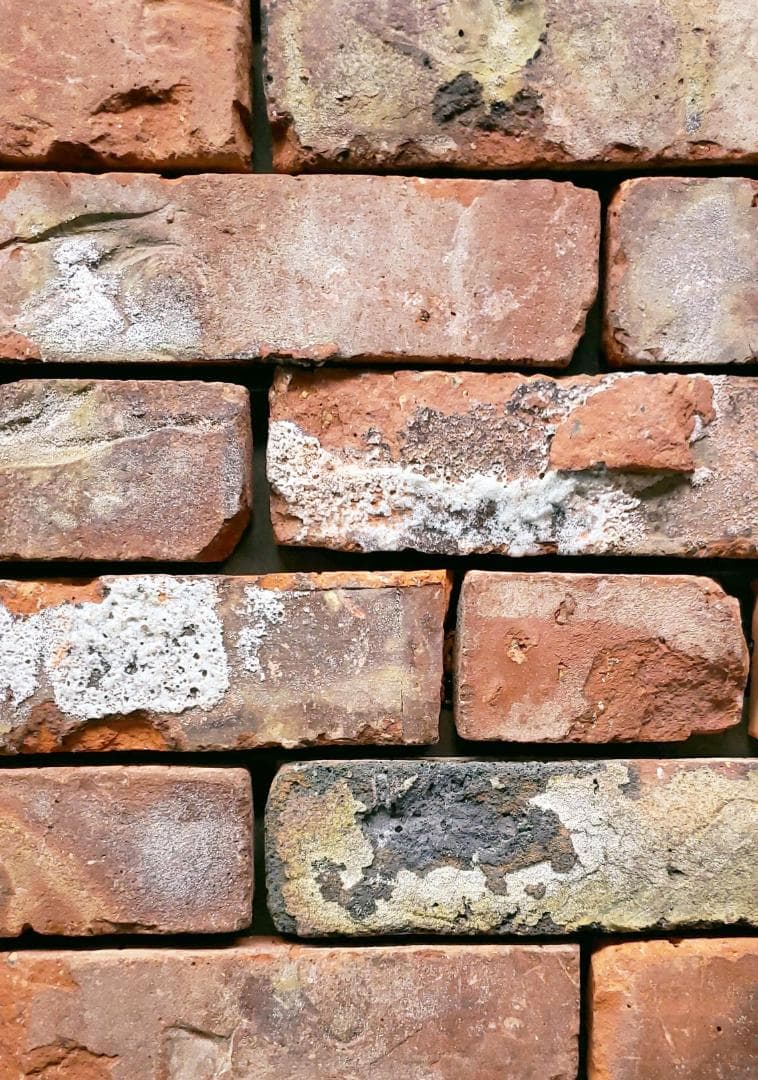 【質問者様限定販売】ベルギー産スライスレンガ オーバーファイア仕上げ