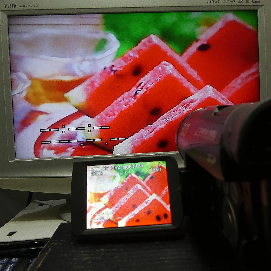 動作良好 パナソニック NV-GS200 MiniDVビデオカメラDVD化に最適