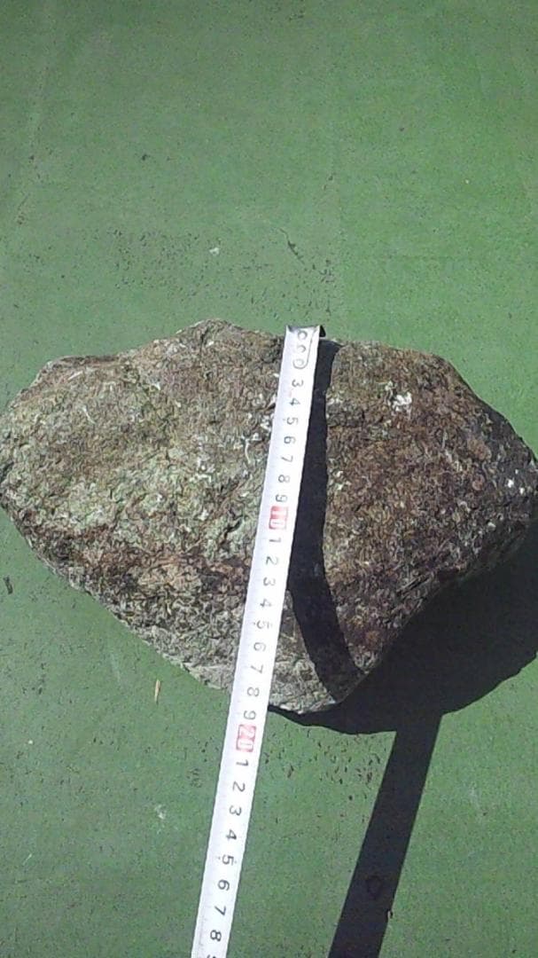 ｍ.天然石　埼玉県寄居　蛇紋岩　11ｋｇ　観賞用、庭石、水石、盆栽、盆石
