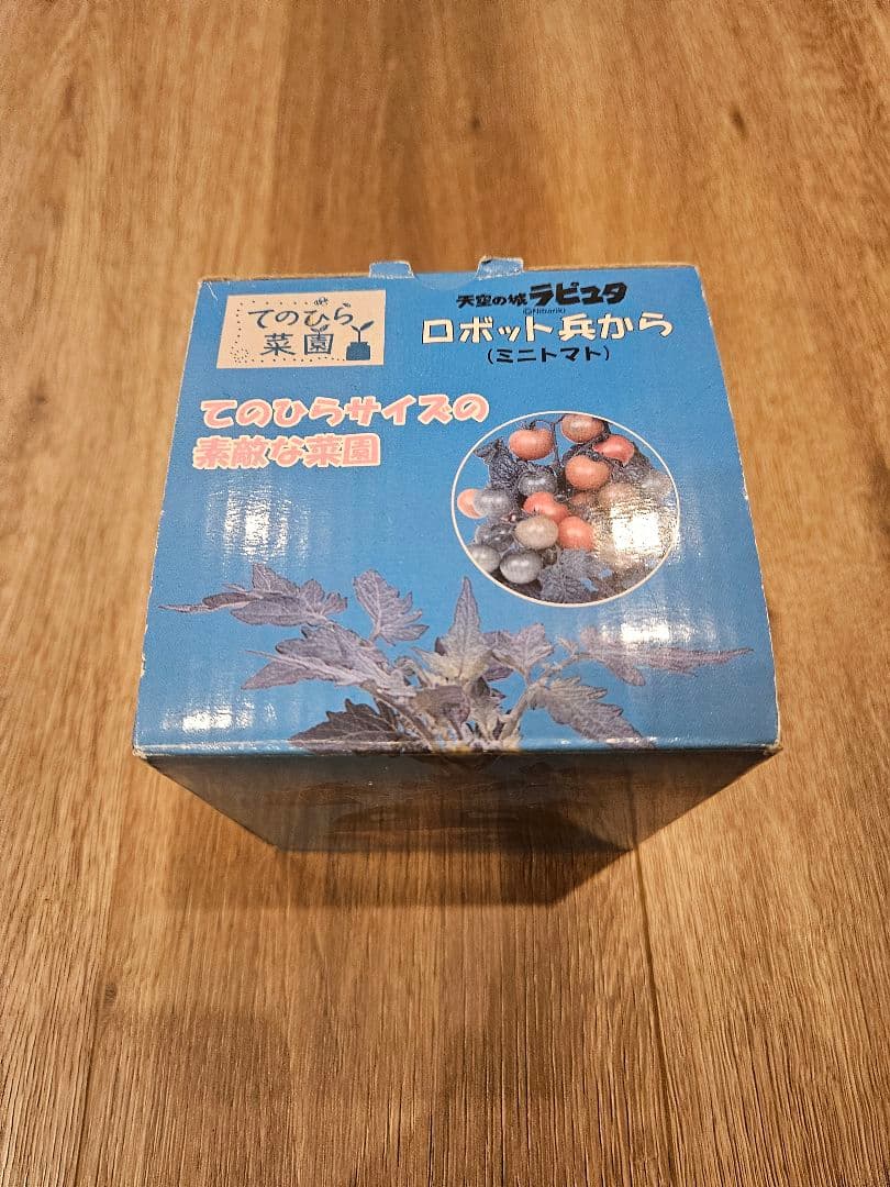 ロボット兵 プランターセット（ミニトマト）