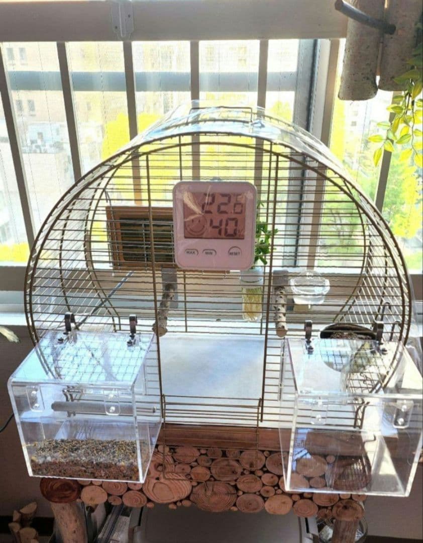 鳥かご 44.5cm x 25cm ヨーロッパ 輸入 ケージ