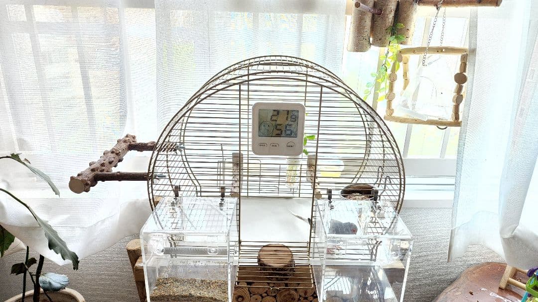 鳥かご 44.5cm x 25cm ヨーロッパ 輸入 ケージ