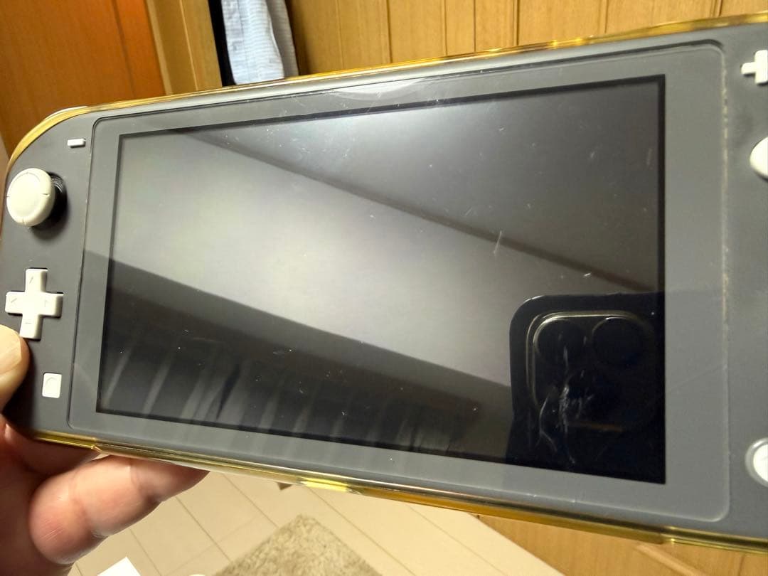 Nintendo Switch Lite 本体 + キャリングケース