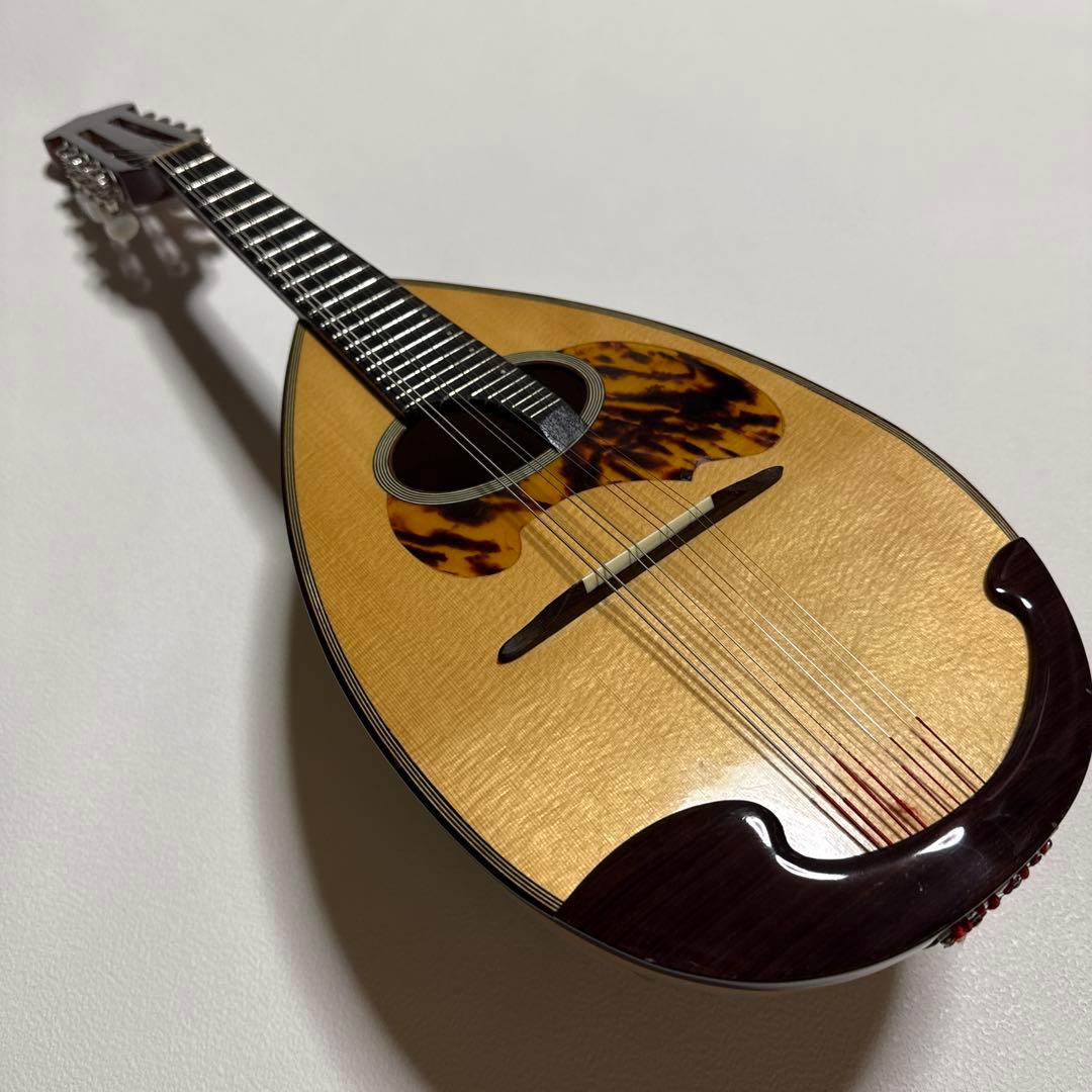 石川捷二郎監修 Venezia マンドリン M-50 ハードケース付