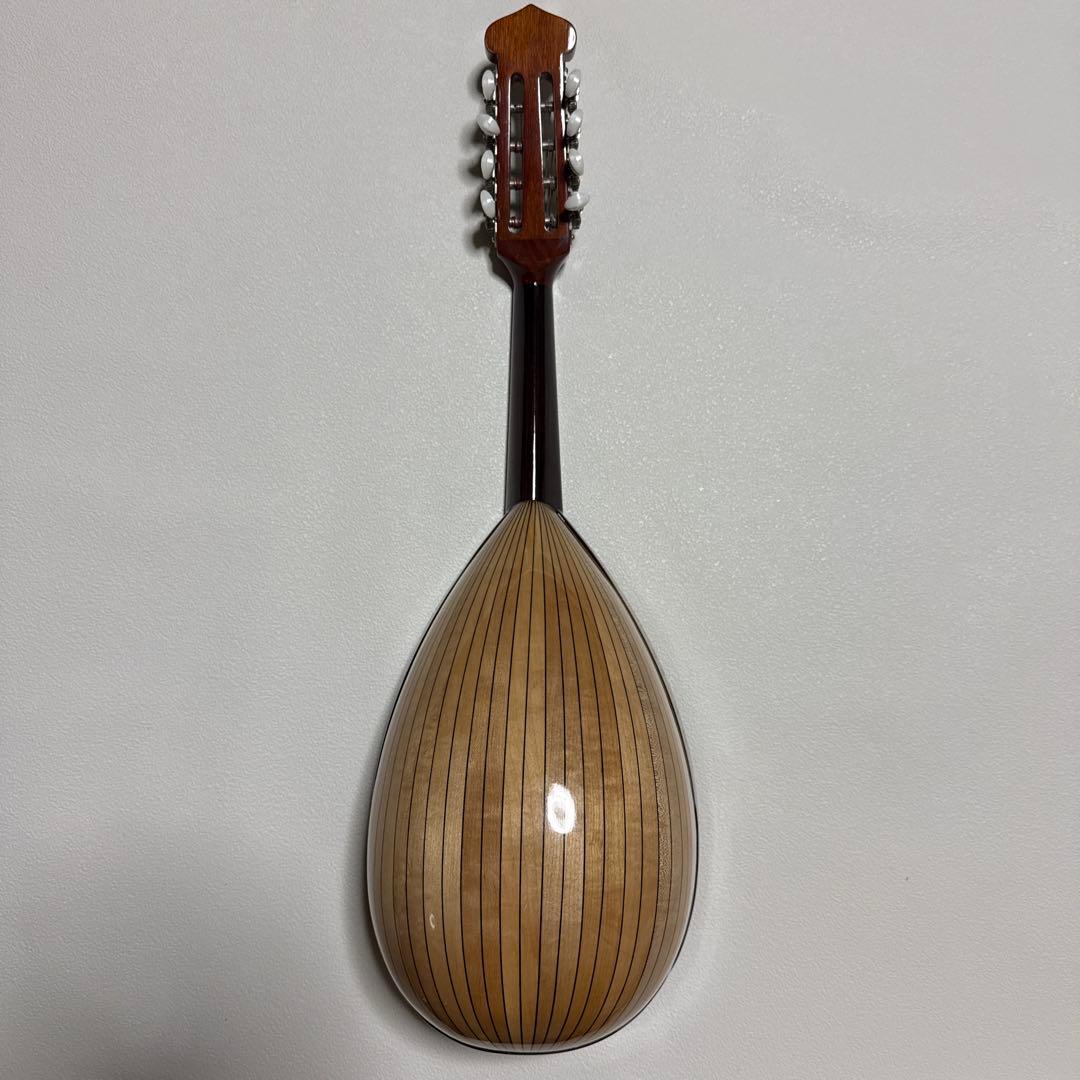 石川捷二郎監修 Venezia マンドリン M-50 ハードケース付