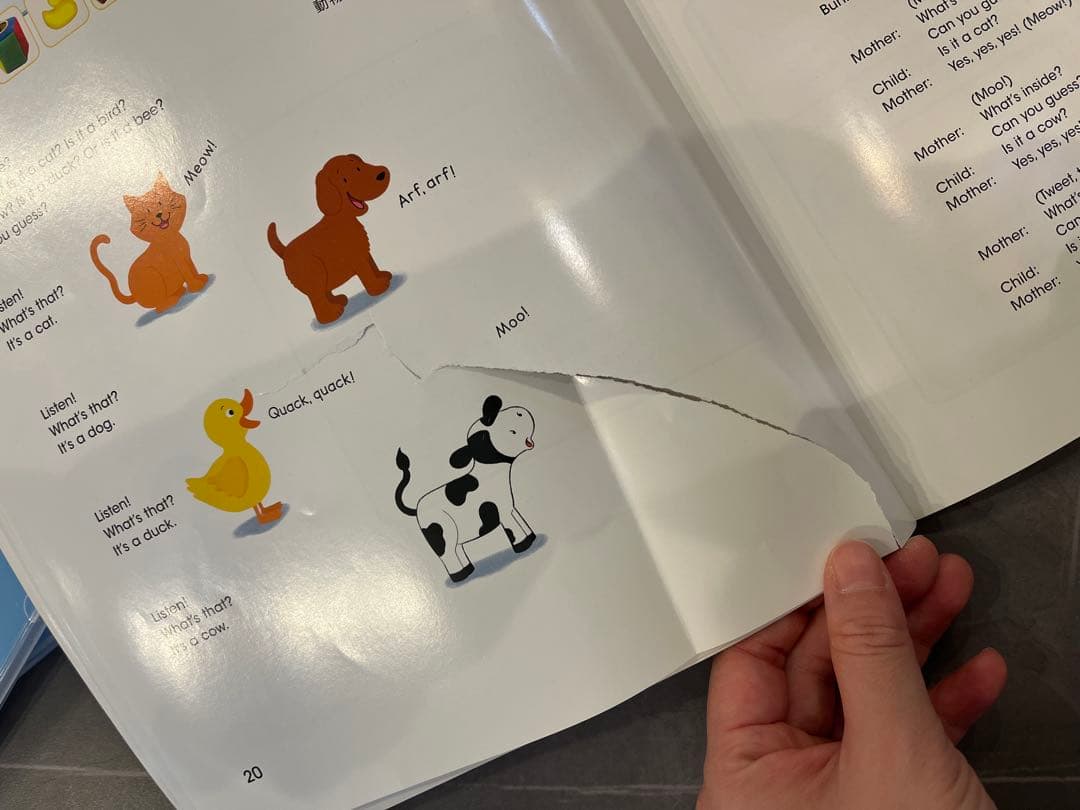 DWE Play Along! プレイアロング　セット Blu-ray 新子役