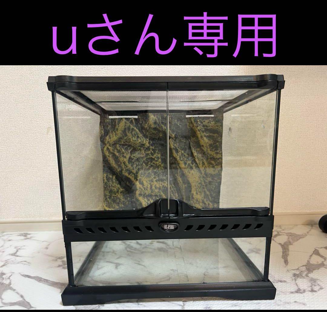美品 GEX エキゾテラ グラステラリウム 3030 爬虫類 ガラス ケージ