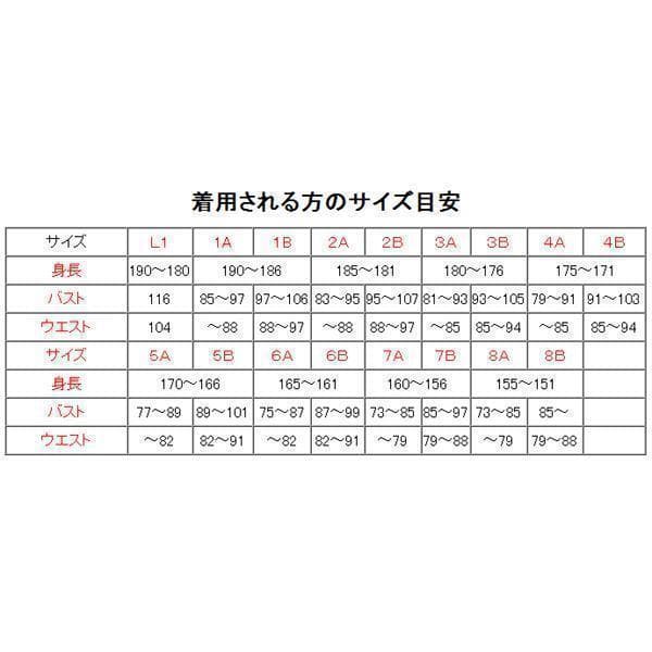 夏３B 陸上自衛隊 リップストップ 迷彩服　　陸自 コンバットシャツの元に