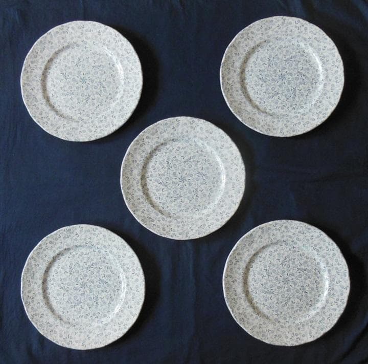 ●ロイヤルチューダー made in England大皿5枚 [#462]