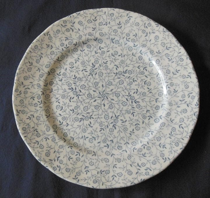 ●ロイヤルチューダー made in England大皿5枚 [#462]