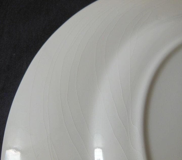 ●ロイヤルチューダー made in England大皿5枚 [#462]