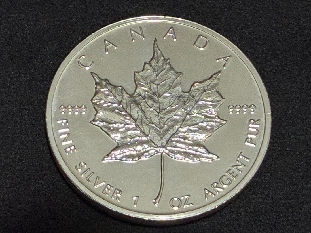 メイプルリーフ銀貨 1991年 カナダ 5ドル 純銀硬貨