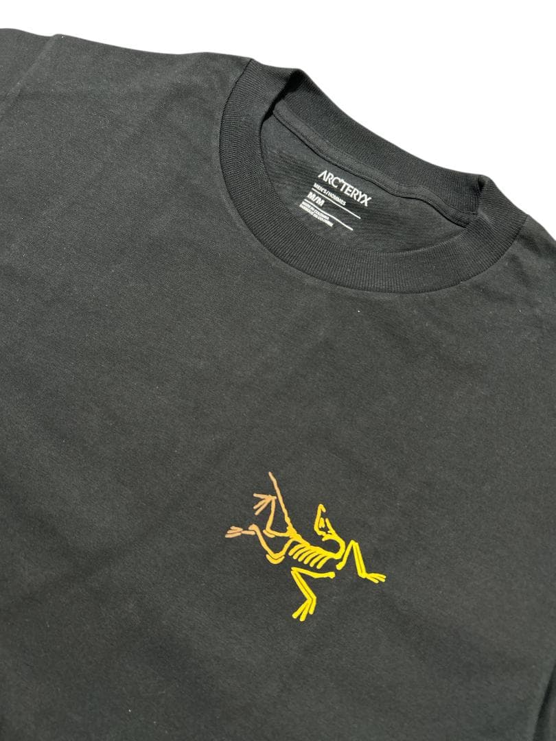 新品 アークテリクス Kragg ロゴ Tシャツ 24Kブラック/M 送料込