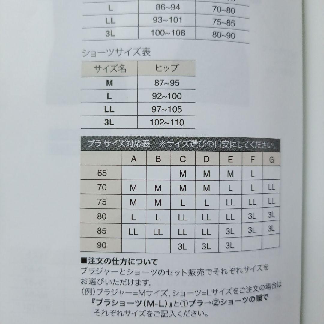 新品31900円★BiBi グラントイーワンズ ファットバーン ブラショーツ L