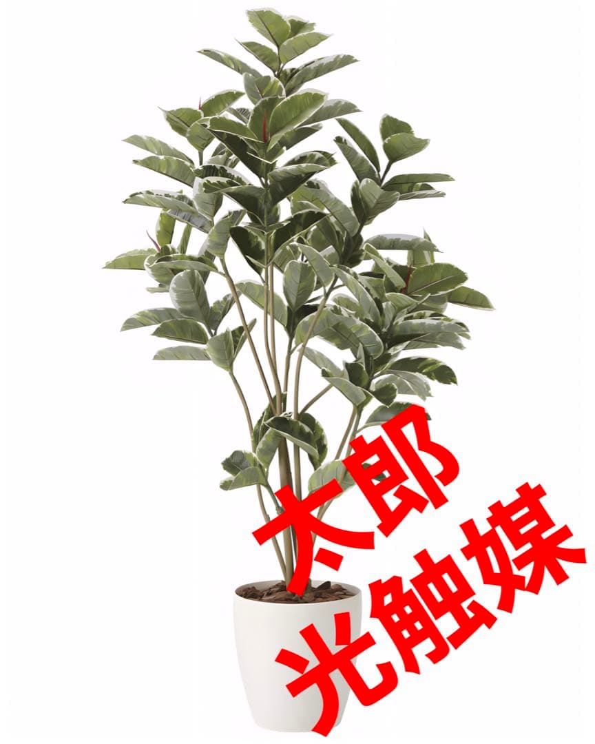 光触媒　人工観葉植物　ウォールグリーン　フェイクグリーン　アルテシマＤＸ　1.6