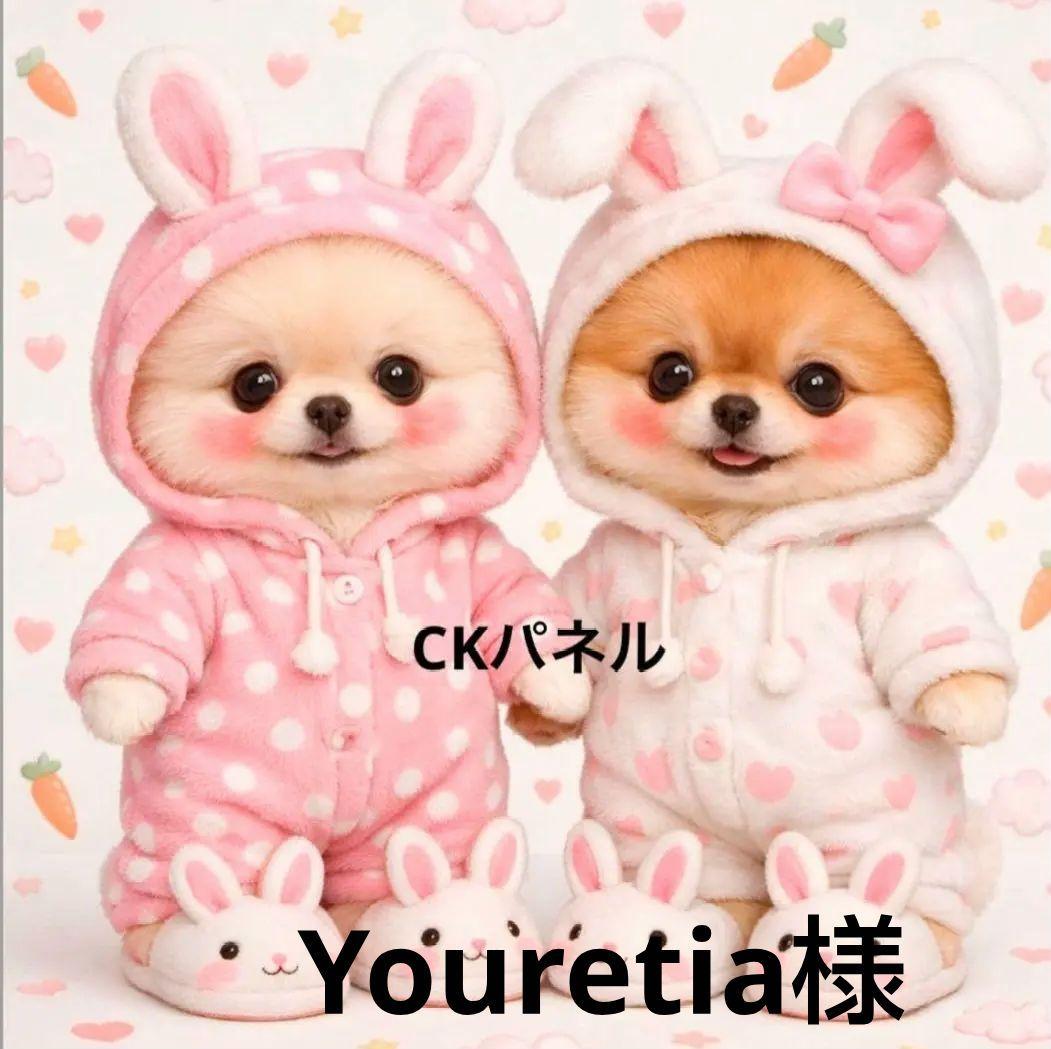 ご確認用　A214 わんこ柄　ハンカチ　ハンドメイド12/29