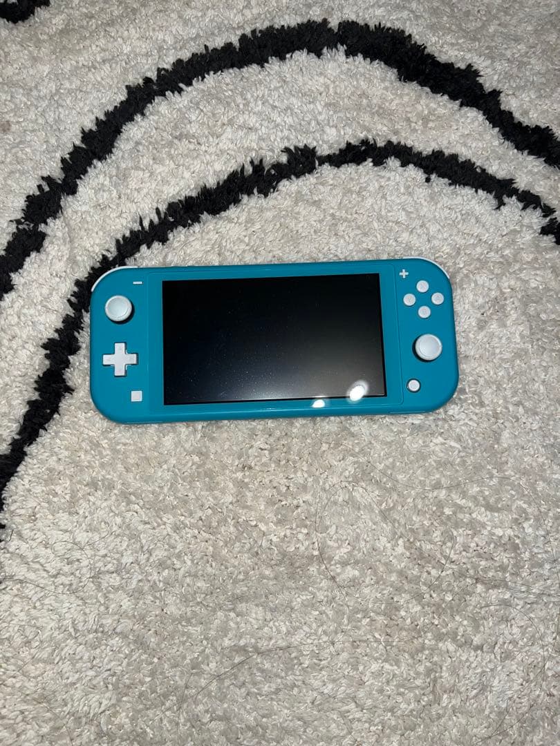 Nintendo Switch Lite 青 本体 充電器・ケース付き