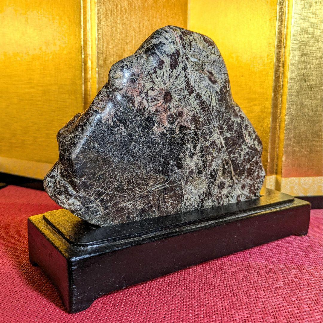 菊花石 岐阜県根尾谷産1.2㌔ 鑑賞石 観賞石 水石 盆石 天然石 置物