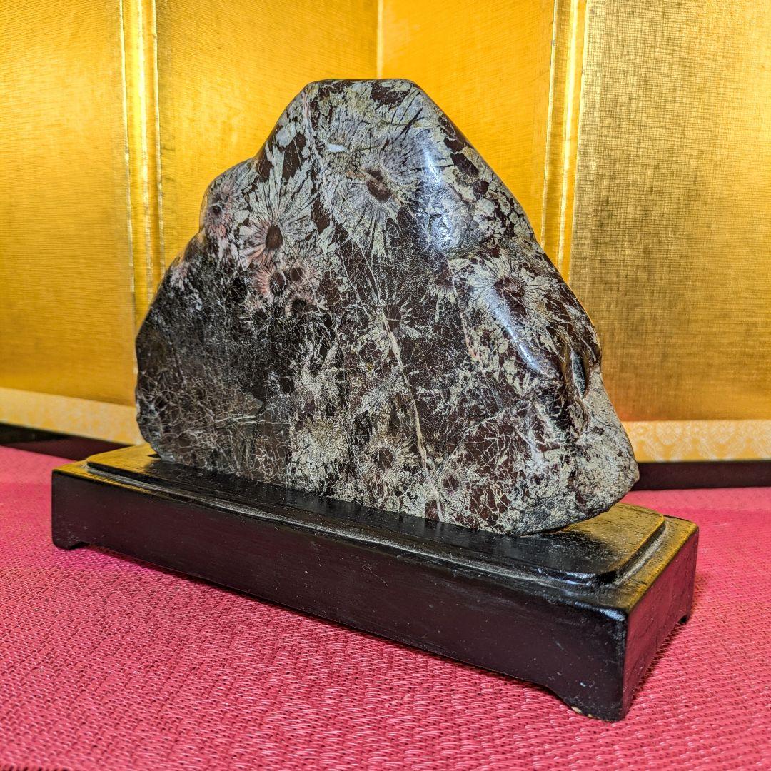 菊花石 岐阜県根尾谷産1.2㌔ 鑑賞石 観賞石 水石 盆石 天然石 置物