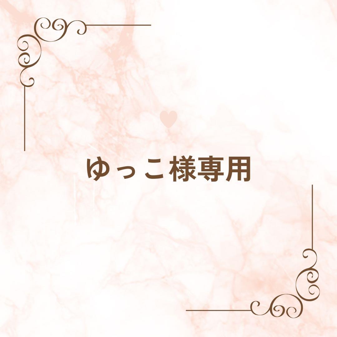 NEW エコシャワーⅡ 【新品未使用】