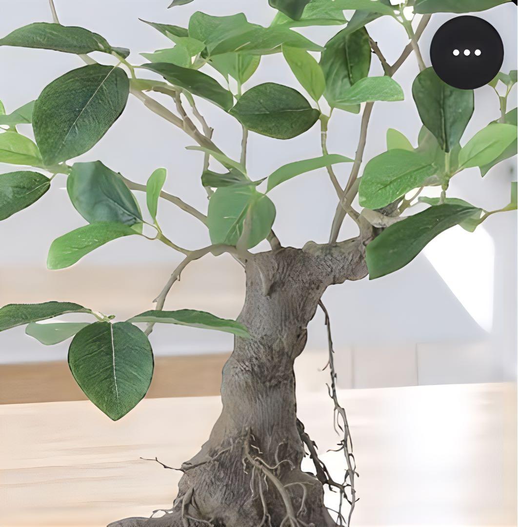 光触媒　人工観葉植物　ウォールグリーン　フェイクグリーン　ガジュマルボウル