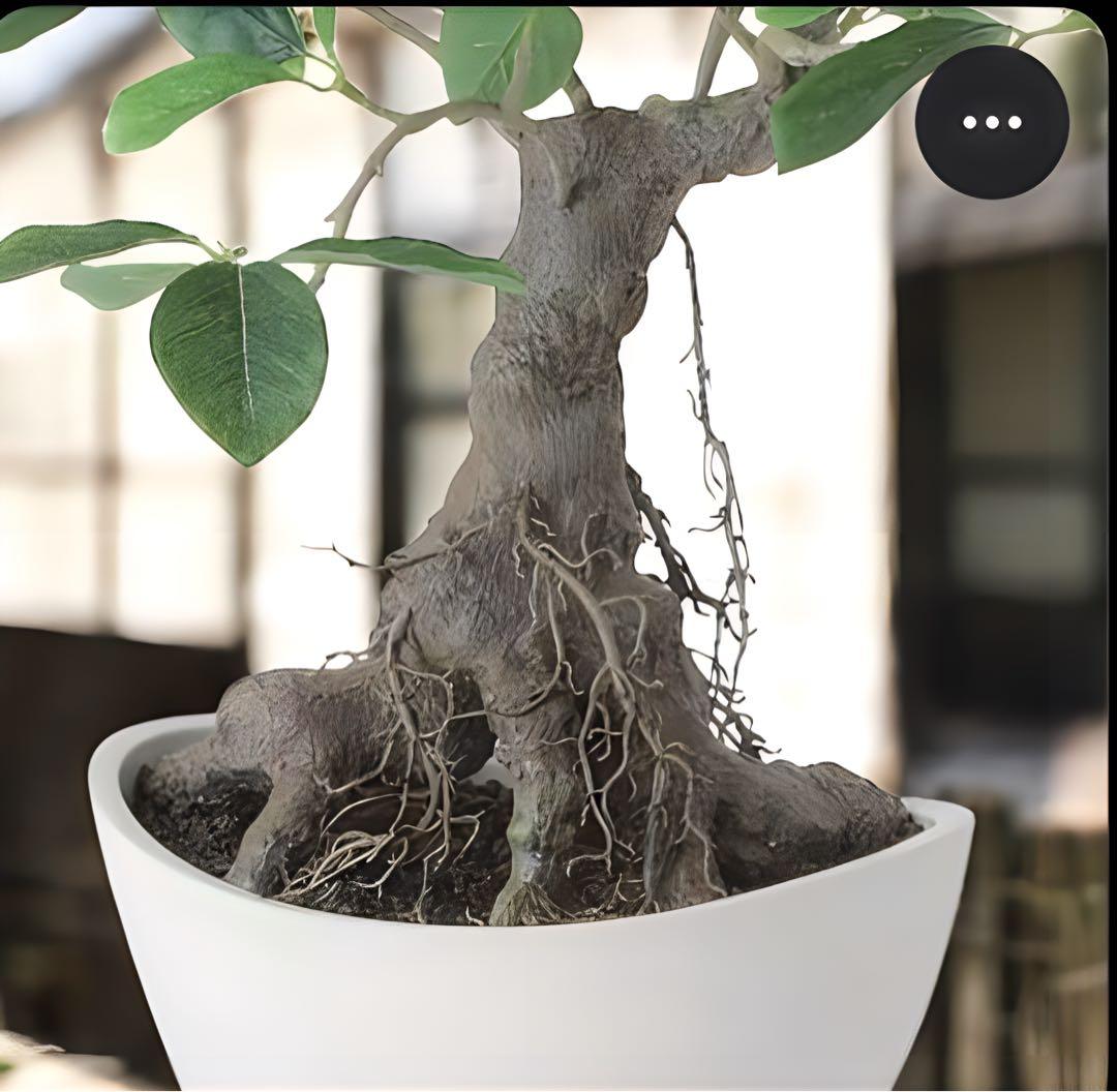 光触媒　人工観葉植物　ウォールグリーン　フェイクグリーン　ガジュマルボウル