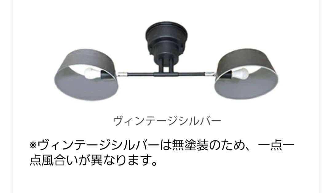 シーリングライト カピエンテ2 2灯 LuCerca 美品 照明 おしゃれ