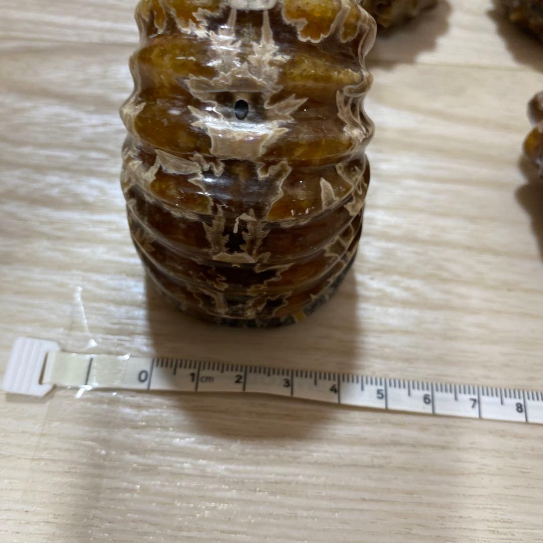 ア*パ様 アンモナイト　化石　まとめ売り　大量